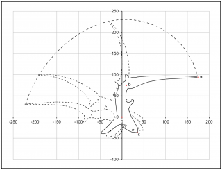 A sequence of still images taken from an overhead tail-slap hunting event that occurred in the sagittal plane (PLoS ONE)