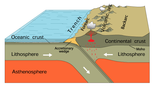 Esquema sencillo de una zona de subducción. En él se pueden apreciar las distintas partes que forman las zonas de subducción. Trench sería la fosa, Accretionary Wedge es el Prisma de Acreción, formado principalmente por sedimentos que se van acumulando y deformando por el movimiento de la placa. También se ve como ascienden los magmas para alimentar a un volcán desde la placa que va subduciendo. Algunos de estos magmas nunca llegan a salir a la superficie y forman los plutones. USGS.