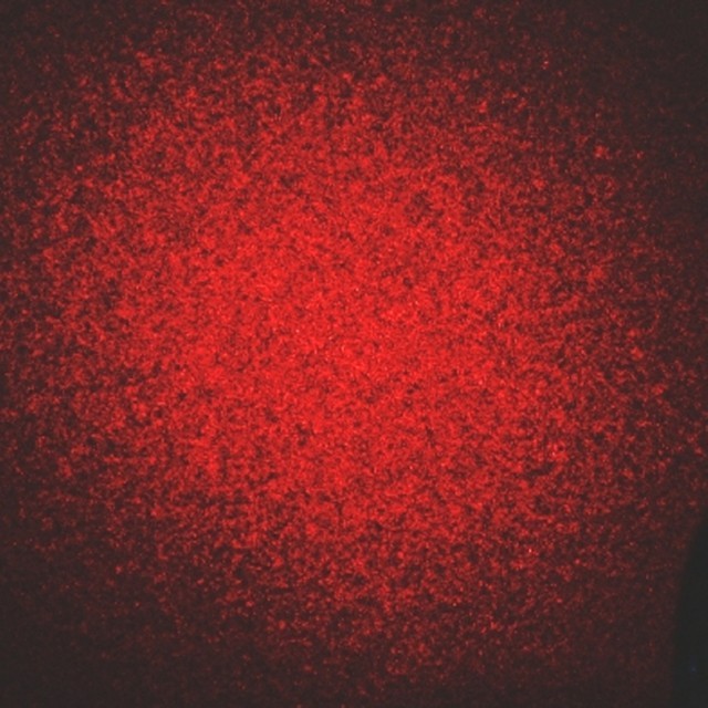 Objective_speckle-640x640