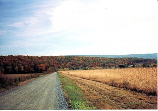Carretera de macadán
