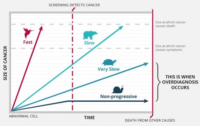 Figura 3. Fuente: NCI Division of Cancer Prevention