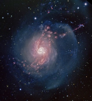 Toma de la galaxia espiral "starburst" NGC 3310 en la Osa Mayor, a unos 50 millones de años luz de distancia, conseguida con el telescopio de 8 metros Gemini Norte en Hawaii (EE.UU.). Los colores codifican la luz en filtros azules (B, en azul), rojos (R, en verde) y la emisión del gas ionizado (filtro H-alfa, en rojo). Crédito: AAO ITSO Office, Gemini Obs./AURA & T. A. Rector (U. Alaska Anchorage), ligero realce por Ángel R. López-Sánchez.