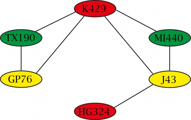 grafo2