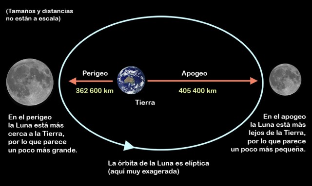 Diagrama explicando el movimiento de la Luna alrededor de la Tierra siguiendo una órbita elíptica y definiendo el apogeo y el perigeo. Los tamaños y las distancias no están a escala. Crédito: Ángel R. López-Sánchez. Imagen de la luna: Paco Bellido.