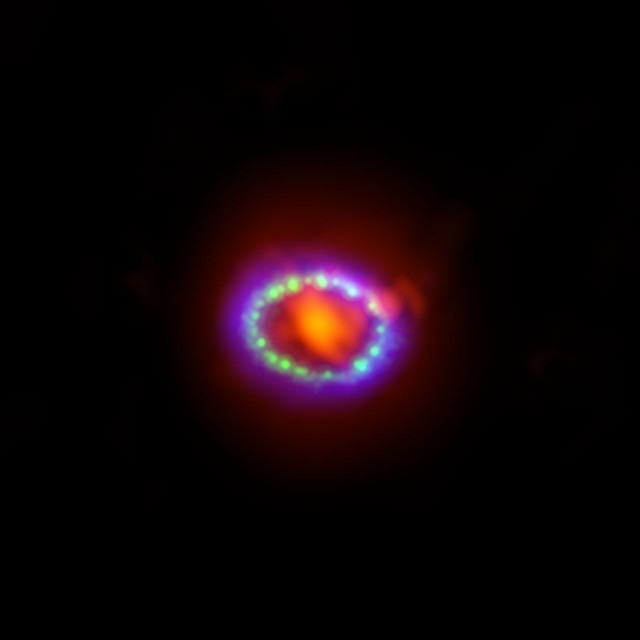 Figura 8: Esta imagen muestra el resto de supernova de SN 1987A visto con luz a distintas longitudes de onda. Los datos proporcionados por el radio-interferómetro ALMA (en rojo) muestran el polvo creado en la explosión, que aparece en el centro. Los datos en óptico dados por el Telescopio Espacial Hubble (en verde) y en rayos X conseguidos con el satélite Chandra (en azul) muestran donde la onda de choque en expansión está chocando con el anillo de material alrededor de la supernova. Este anillo fue originariamente encendido por la luz ultravioleta de la explosión, pero durante los años siguientes su brillo se incrementó por el choque. Crédito: ALMA (ESO/NAOJ/NRAO)/A. Angelich. Imagen en óptico: the NASA/ESA Hubble Space Telescope. Imagen en rayos X: The NASA Chandra X-Ray Observatory.