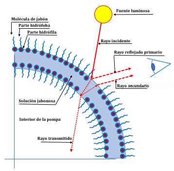 Figura 07: Estructura simplificada de una pompa y trayectoria de los rayos luminosos