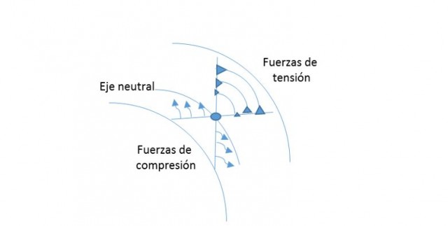 Fuerzas de tensión y compresión en una viga doblada. Conforme se acercan al eje neutral, las fuerzas se hacen menores hasta desaparecer. Fuente: autor