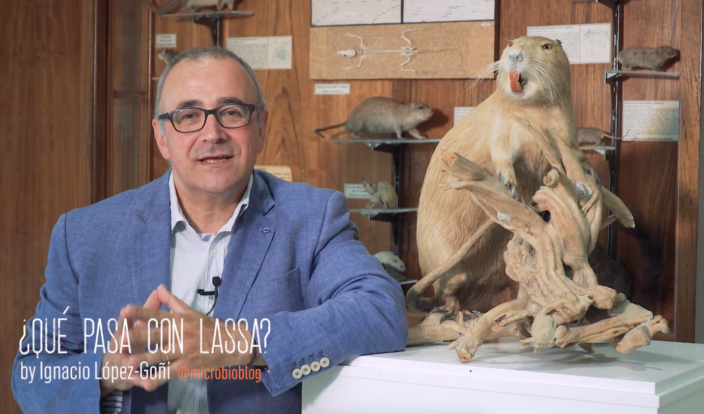 #microBIOscope: ¿qué pasa con Lassa?