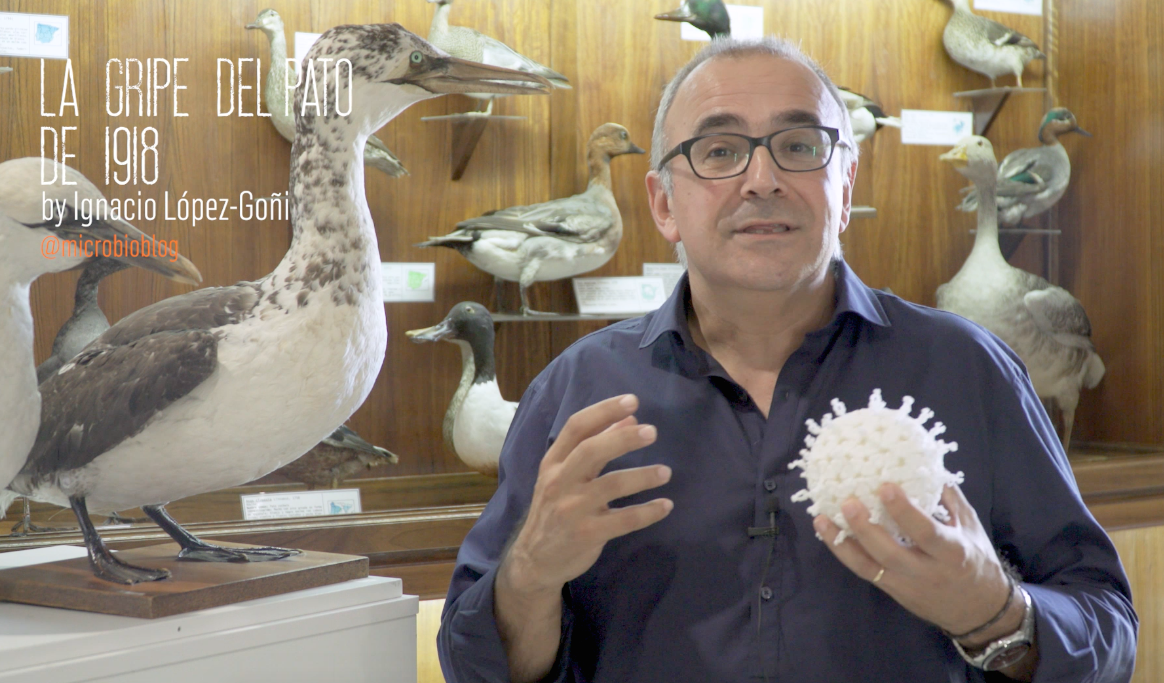 #microBIOscope: la gripe del pato de 1918
