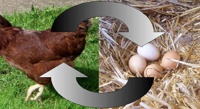 ¿Gallina o huevo? Un dilema resuelto por fin