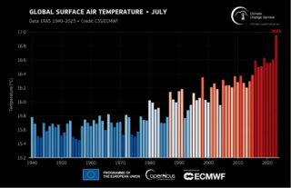 Gráfico de temperatura global (Meteored)